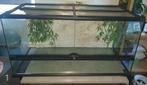 Terrarium 90 x 45 x 45, Ophalen, Gebruikt, Terrarium of Paludarium
