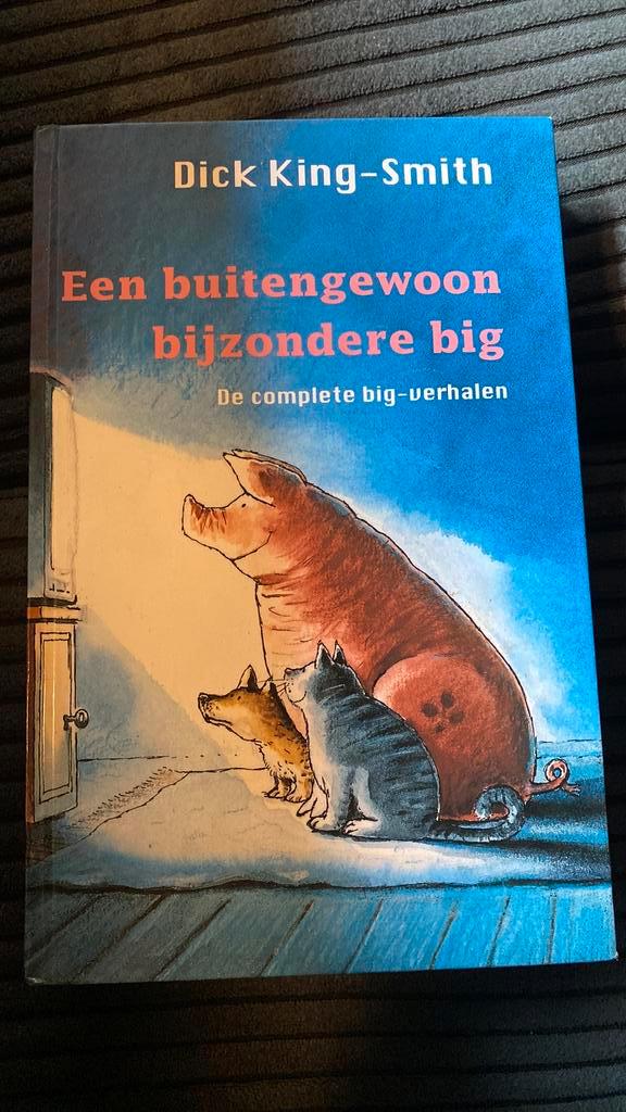 Een buitengewoon bijzondere big, Boeken, Kinderboeken | Jeugd | 13 jaar en ouder, Zo goed als nieuw, Ophalen of Verzenden