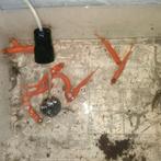 9 goudwinders
ongeveer 10 cm groot, Dieren en Toebehoren, Vissen | Vijvervissen, Baars of Goudwinde