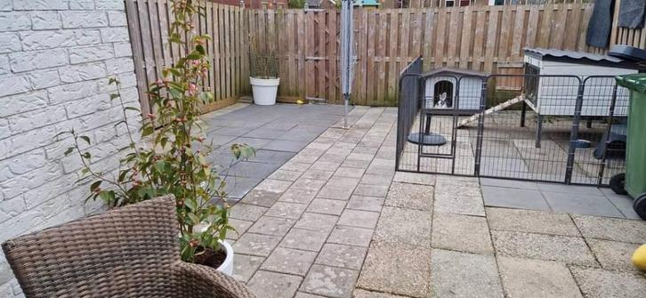 Puppyren, Dieren en Toebehoren, Overige Dieren-accessoires, Gebruikt, Ophalen