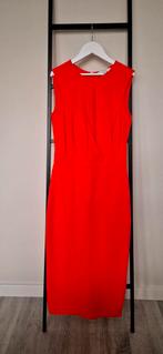 Reiss jurk, Kleding | Dames, Reiss, Nieuw, Ophalen of Verzenden, Maat 34 (XS) of kleiner