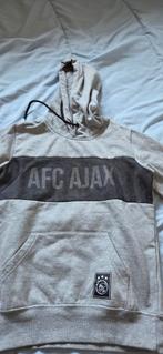 Ajax Trui Maat 134/140, Kleding | Heren, Truien en Vesten, Overige maten, Ophalen of Verzenden, Ajax, Grijs