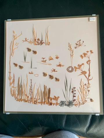 Schilderij van gedroogde grassen e.d.achter glas