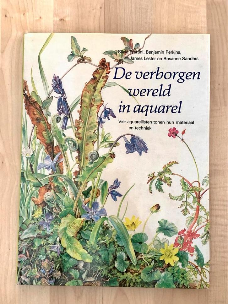 De verborgen wereld van aquarel, Hobby en Vrije tijd, Schilderen, Ophalen of Verzenden