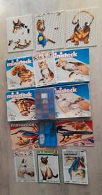 MINISTECK: Hond en kat, paarden, vogels, sorteerbakjes etc., Hobby en Vrije tijd, Ministeck, Ophalen of Verzenden, Zo goed als nieuw