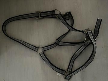 Mooi stevig halster zwart/grijs mt Full beschikbaar voor biedingen