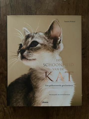 De schoonheid van de kat - Librero beschikbaar voor biedingen