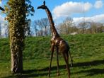 Giraffe Zola - 290 cm - Handgemaakt en Uniek, Ophalen of Verzenden