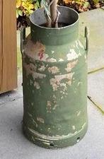 Melkbus, Tuin en Terras, Planten | Bomen, Ophalen, Bloeit niet, Halfschaduw, Overige soorten