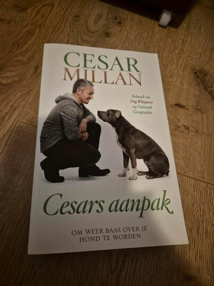 Cesar Millan - Cesars aanpak, Boeken, Advies, Hulp en Training, Zo goed als nieuw, Ophalen of Verzenden