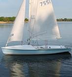 Int. 505, Parker, Proctor D mast, int. meetbrief, Watersport en Boten, Open zeilboten, Ophalen, Geen motor, Gebruikt, Overige brandstoffen