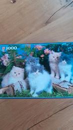 Jumbo legpuzzel Perzische kittens 1000 stukjes., Ophalen, 500 t/m 1500 stukjes, Zo goed als nieuw