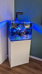 Red Sea Reefer 170 wit + Apparatuur, Ophalen of Verzenden, Gebruikt, Leeg aquarium