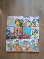 Diverse Meisjes boeken: o.a Cindy, Floortje, Ophalen of Verzenden, Zo goed als nieuw, Non-fictie