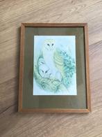 Lithografie uiltjes van John Gould, Ophalen