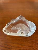 IJsbeer glazen presse-papier /paperweight, Antiek en Kunst, Ophalen of Verzenden