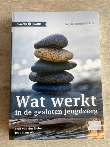 Wat werkt in de gesloten jeugdzorg beschikbaar voor biedingen