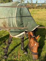 Stalhulp stalmedewerker gezocht Zuidoostbeemster, Dieren en Toebehoren, Stalling en Weidegang