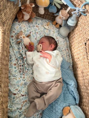 Reborn Baby Bam Bam - Van Severine Piret met certificaat beschikbaar voor biedingen