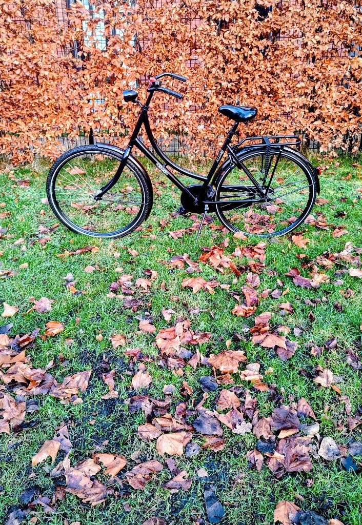 Te koop : Damesfiets Aldo, Fietsen en Brommers, Fietsen | Dames | Damesfietsen, Zo goed als nieuw, Overige merken, 53 tot 56 cm