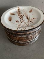 14  kleine (taart) bordjes: Stonehenge Midwinter Wild Oats, Overige typen, Ophalen of Verzenden, Zo goed als nieuw, Wedgwood