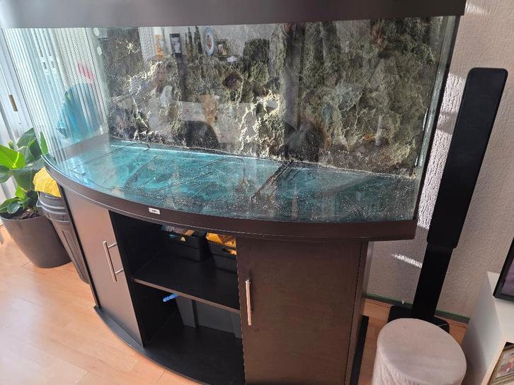 Juwel Vision 450 met onderkast., Dieren en Toebehoren, Vissen | Aquaria en Toebehoren, Gebruikt, Leeg aquarium, Ophalen