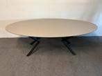 Ovale eettafel Fenix Beige Arizona 240x100, 100 tot 150 cm, 200 cm of meer, Ophalen of Verzenden, Zo goed als nieuw