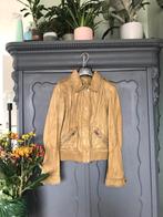 Leren jasje/jacket, Arma leder mt 34/xs olijf kleur, Ophalen of Verzenden, Zo goed als nieuw, Arma leder, Maat 34 (XS) of kleiner