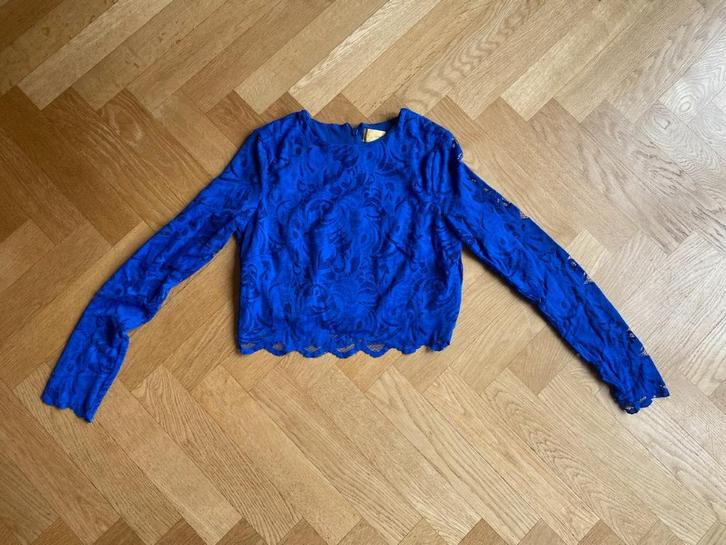 Feestelijke, korte koningsblauw kanten top, Kleding | Dames, Tops, Gedragen, Maat 38/40 (M), Blauw, Lange mouw, Ophalen of Verzenden