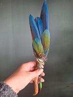 Smudge waaier op gewei, Antiek en Kunst, Ophalen of Verzenden