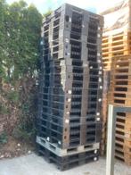 Te koop stevige kunstof plastic pallets vlonder bouw hout, Ophalen of Verzenden, Gebruikt