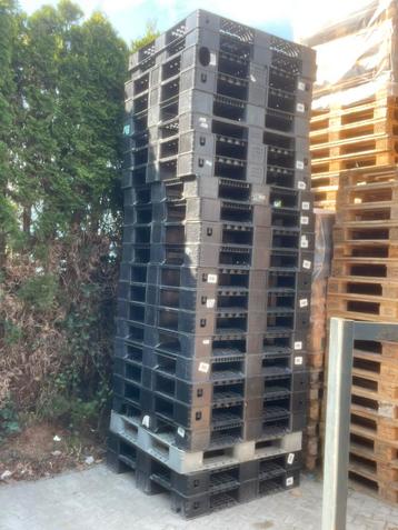 Te koop stevige kunstof plastic pallets vlonder bouw hout  beschikbaar voor biedingen