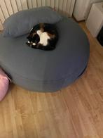 Fatboy Poef met  kussen  wel zonder de poes, Ophalen, Gebruikt, Rond, 75 tot 100 cm