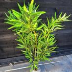 Kunst bamboeplant 1.20 hoog met verzwaarde pot, Tuin en Terras, Ophalen, Zomer, Eenjarig, Volle zon