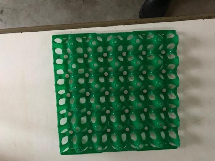 eiertray voor 30 eieren kunststof, Dieren en Toebehoren, Pluimvee | Toebehoren, Zo goed als nieuw, Overige typen, Ophalen of Verzenden