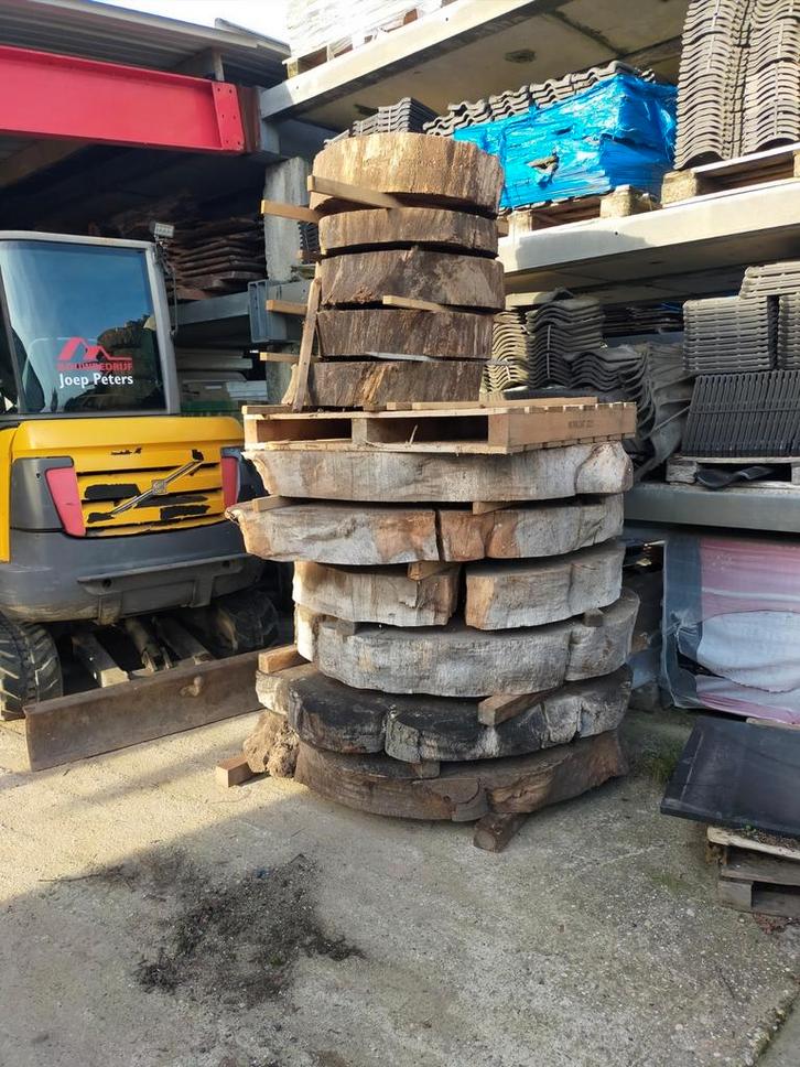 Grote Boomstam schijven rode beuk ., Tuin en Terras, Tuinmeubel-accessoires, Zo goed als nieuw, Ophalen