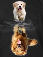 DiamondPainting Labrador puppy groot, Ophalen of Verzenden, Nieuw