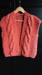 Gilet, Kleding | Dames, Truien en Vesten, Ophalen of Verzenden, Nieuw