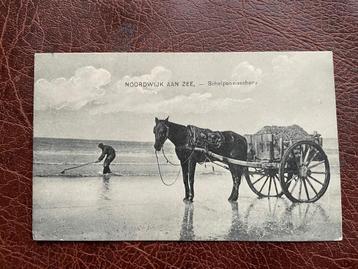 ansichtkaart van Noordwijk aan Zee, Schelpenvisscher 1. beschikbaar voor biedingen