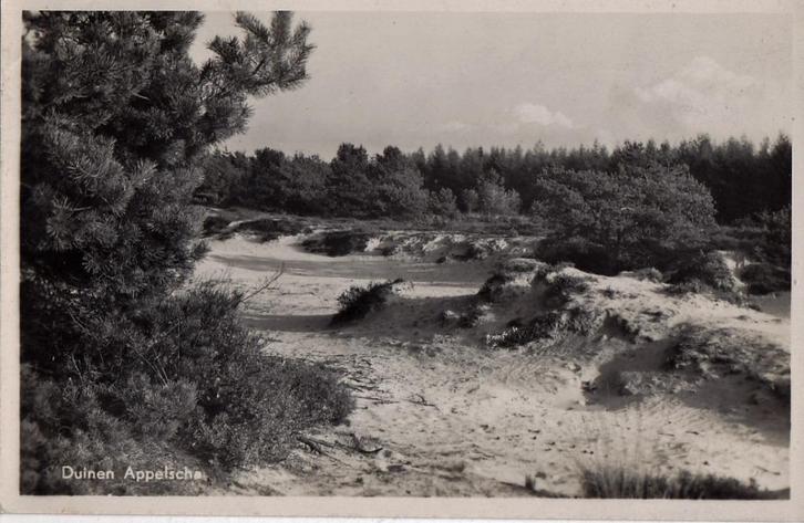 Appelscha, Jeugdherberg Us blau Hiem, Verzamelen, Ansichtkaarten | Nederland, Gelopen, Friesland, 1940 tot 1960, Ophalen of Verzenden