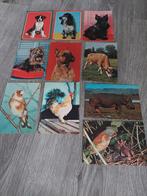 set oude ansichtkaarten DIEREN, Ophalen of Verzenden, 1960 tot 1980, Ongelopen, Overige soorten