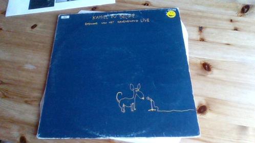 Raymond van het Groenewoud – Kamiel In België, Cd's en Dvd's, Vinyl | Nederlandstalig, Gebruikt, Pop, 12 inch, Ophalen
