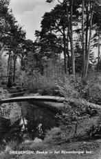 Driebergen, Beekje in het Rijssenburgse bos, Ophalen of Verzenden, 1960 tot 1980, Gelopen, Utrecht