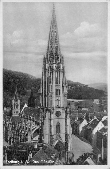 (381-233-009) Freiburg Das Munster beschikbaar voor biedingen