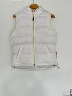 Bodywarmer | Wit | Sissy-Boy | SBNL | Dames | Medium, Wit, Sissy-Boy, Zo goed als nieuw, Ophalen