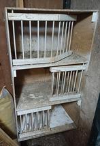 Duiven broedhok, Meerdere dieren, Postduif