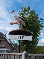 Te huur: Ooievaarsnest + baby, Ophalen