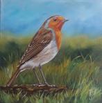 ROODBORSTJE ZIT IN HET GRAS>MOOIE VOGEL>BIRD>NATUUR 🐣, Antiek en Kunst, Ophalen of Verzenden