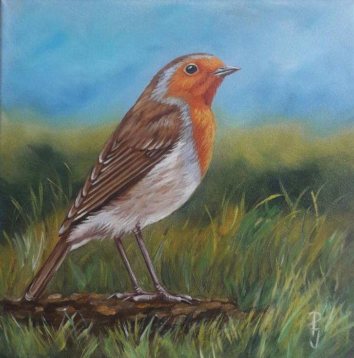 ROODBORSTJE ZIT IN HET GRAS>MOOIE VOGEL>BIRD>NATUUR 🐣, Antiek en Kunst, Kunst | Schilderijen | Klassiek, Ophalen of Verzenden