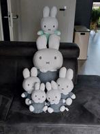 Nijntje familie, Ophalen of Verzenden, Zo goed als nieuw, Overige typen